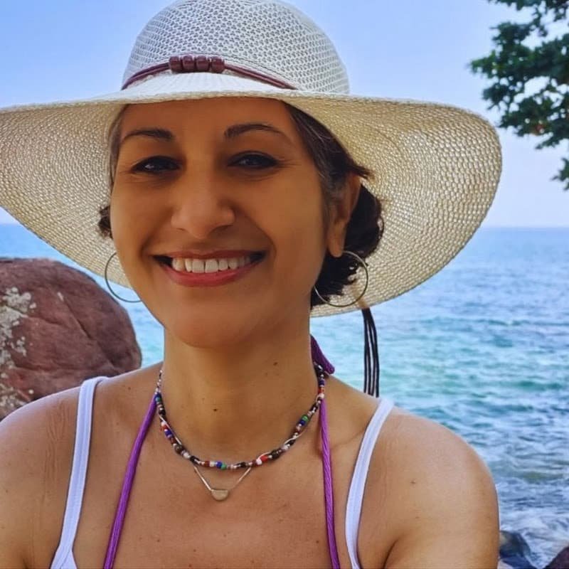 recetas de gri sin horno